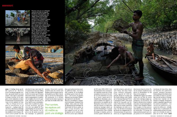 2012_04_SciencesAvenir-Juin12-Mangroves-2net