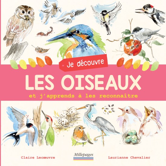 COUV_jedecouvrelesoiseaux